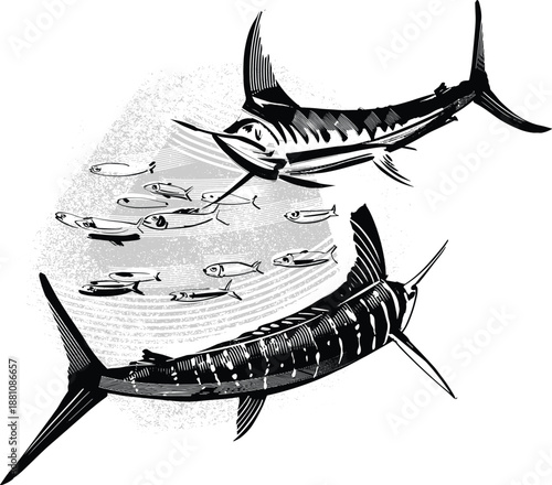 Flat vector illustration of a marlin fish in a clean, modern, minimal style. Stylised marine animal with an elongated body and distinctive bill, representing ocean life, sport fishing, and marine wild