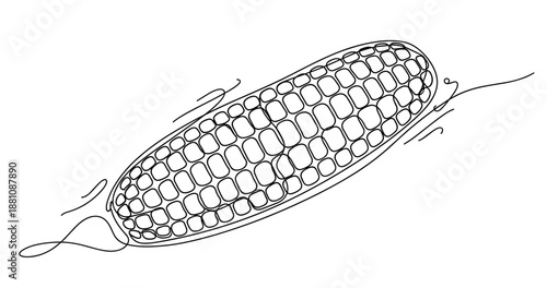 Continuous line drawing of corn cob with husk details. No editable strokes
