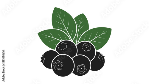 a cluster of blackberries with green leaves on a white background