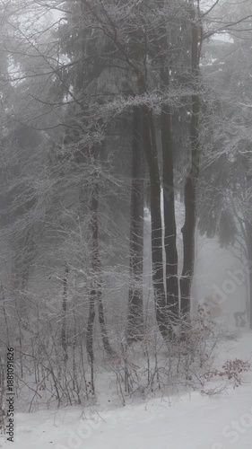 Wallpaper Mural Vertical screen frozen winter forest covered in mist creates a calm atmospheric scene bare branches coated with ice stand in soft gray light forming a quiet cold and cinematic landscape Torontodigital.ca