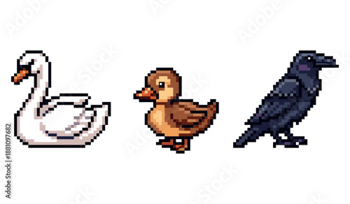 Pixel art animals: white swan, brown duck, black crow on white background