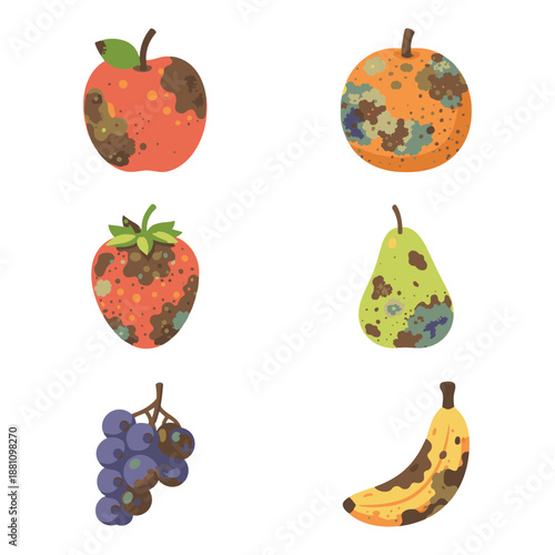 A set of flat vector illustrations showing various fruits including an apple, orange, strawberry, pear, grapes, and banana with visible mold and rotten spots.