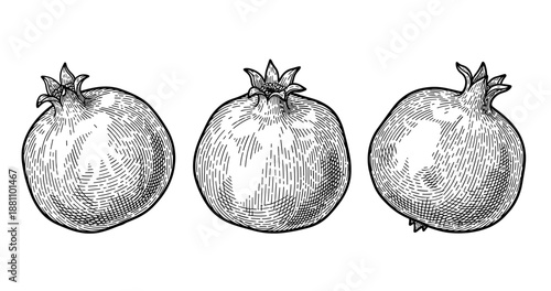 Detailed black and white line drawings of three pomegranates