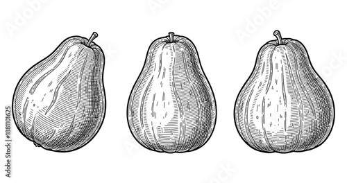 Vintage pear sketch trio in black and white