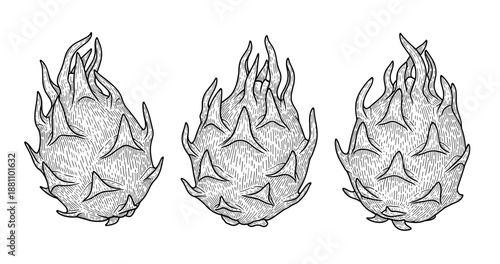 Three detailed hand-drawn dragon fruits with unique spiky patterns