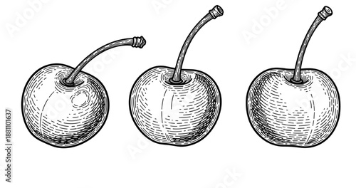 Hand-drawn cherry trio in black and white vector illustration