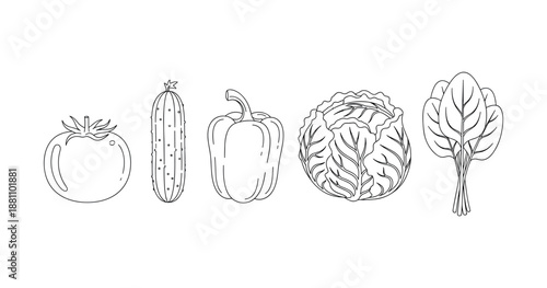 Line drawing of vegetables: tomato, cucumber, pepper, cabbage, and spinach