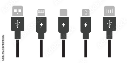 USB Type C, Type A, Type B, Lightning, and Micro USB fill icons. USB cable fill icon set, charger vector icon, vector illustration.