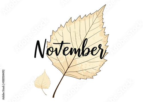 November month illustration with dried leaf