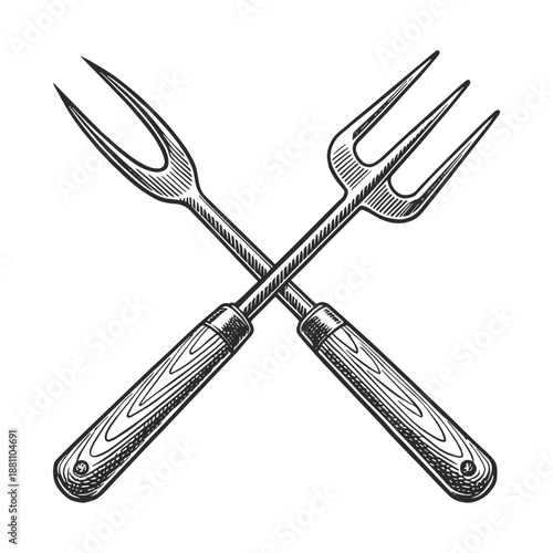 Vintage engraved illustration of crossed meat forks. Hand drawn black and white line art for BBQ, grill, steakhouse branding, butcher shop logo, restaurant menu, food packaging.