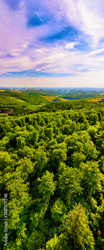 a forest landscape from above panorama perpendicular
