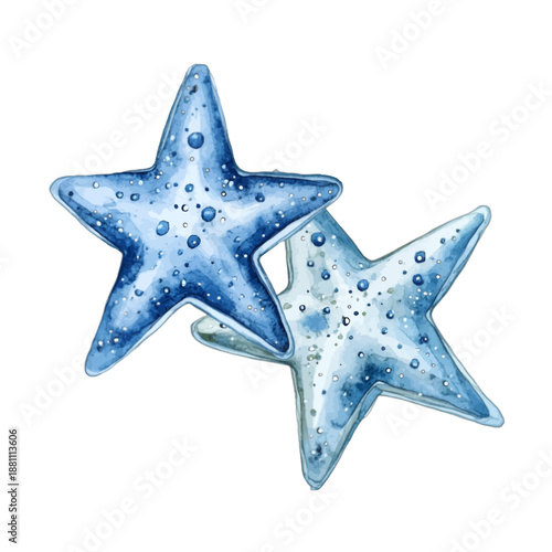 Watercolor blue starfish pair illustration isolated on white background
