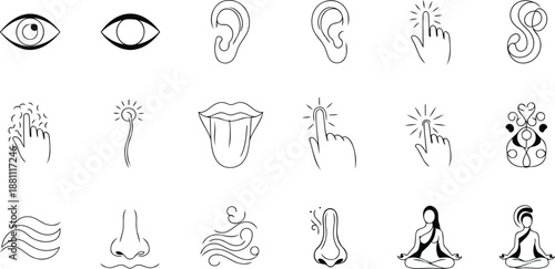 A collection of hand drawn vector illustrations featuring human organs and various shapes in a sketched doodle art style