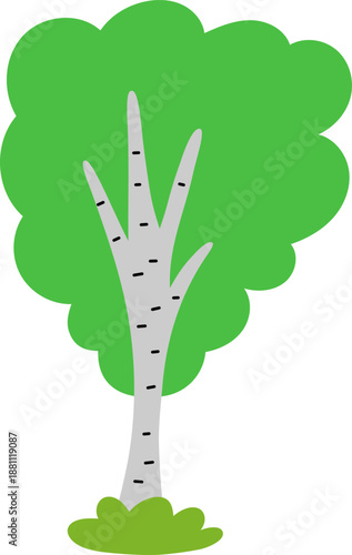 Vector green birch tree icon isolated on white background. Garden or forest plant with twigs and leaves. Flat spring, Easter village or farm illustration. Natural greenery picture