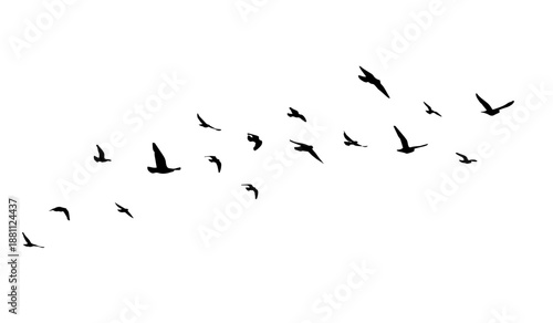 Flying birds silhouette flock. hand drawing. Not AI. Vector illustration