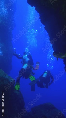 Wallpaper Mural A group of scuba divers explore the submerged rock formations near Costa Rica. Surrounded by dazzling blue waters and lively schools of fish, a captivating dive is underway. Torontodigital.ca