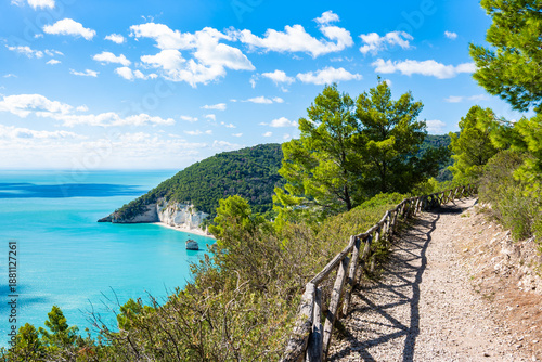 Wallpaper Mural Coastal hiking trail overlooking the turquoise bay and rock cliffs of Baia delle Zagara beach, Gargano, Apulia, Italy Torontodigital.ca