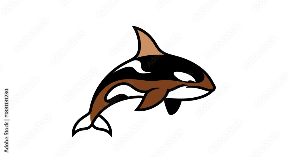 Obraz premium Adobe Illustrator Artwork