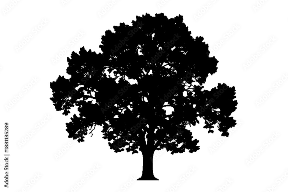 Fototapeta premium Silhouette of Majestic Oak Tree: A dramatic silhouette of a magnificent oak tree stands against the clear sky, its branches reaching upwards in a display of strength and resilience.