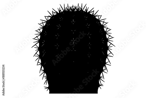 Cactus Silhouette: An artistic silhouette captures the stark beauty of a spiky cactus, its form against the backdrop of a setting.