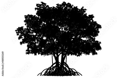 Silhouette of Resilience: An imposing silhouette of a sturdy tree, its branches reaching skyward, stands as a testament to nature's enduring power and the silent strength of the environment.