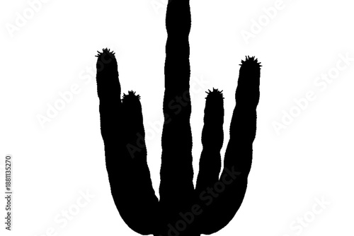 Silhouette of a Majestic Cactus: A striking silhouette of a towering cactus stands tall, its form defined against a contrasting backdrop, evoking the rugged beauty of the desert landscape.