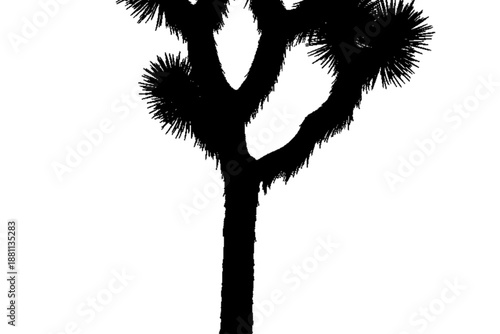 Joshua Tree Silhouette: A stark black silhouette of a majestic Joshua tree stands against a pristine backdrop.