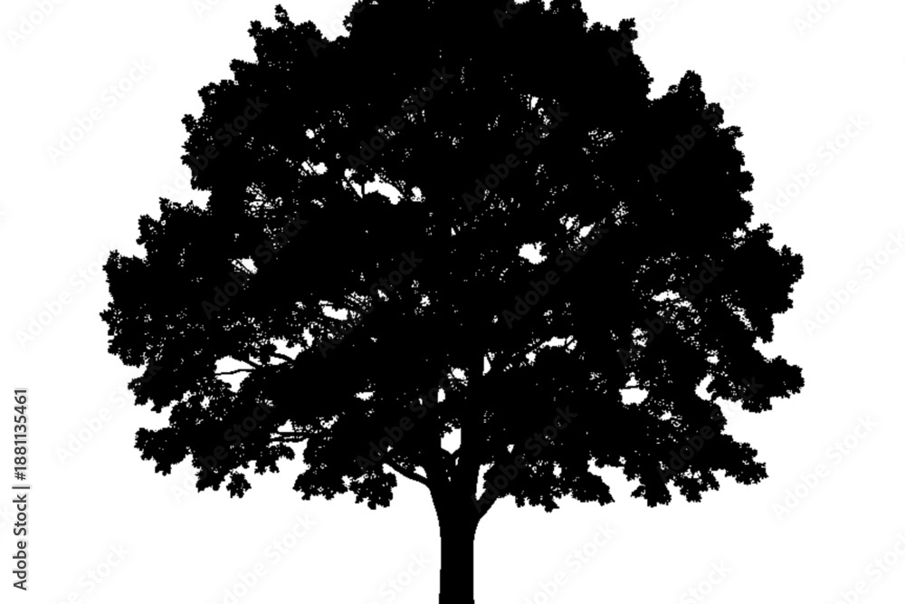 Fototapeta premium Shadowed Serenity: A majestic tree stands silhouetted against a plain background, its branches reaching skyward.
