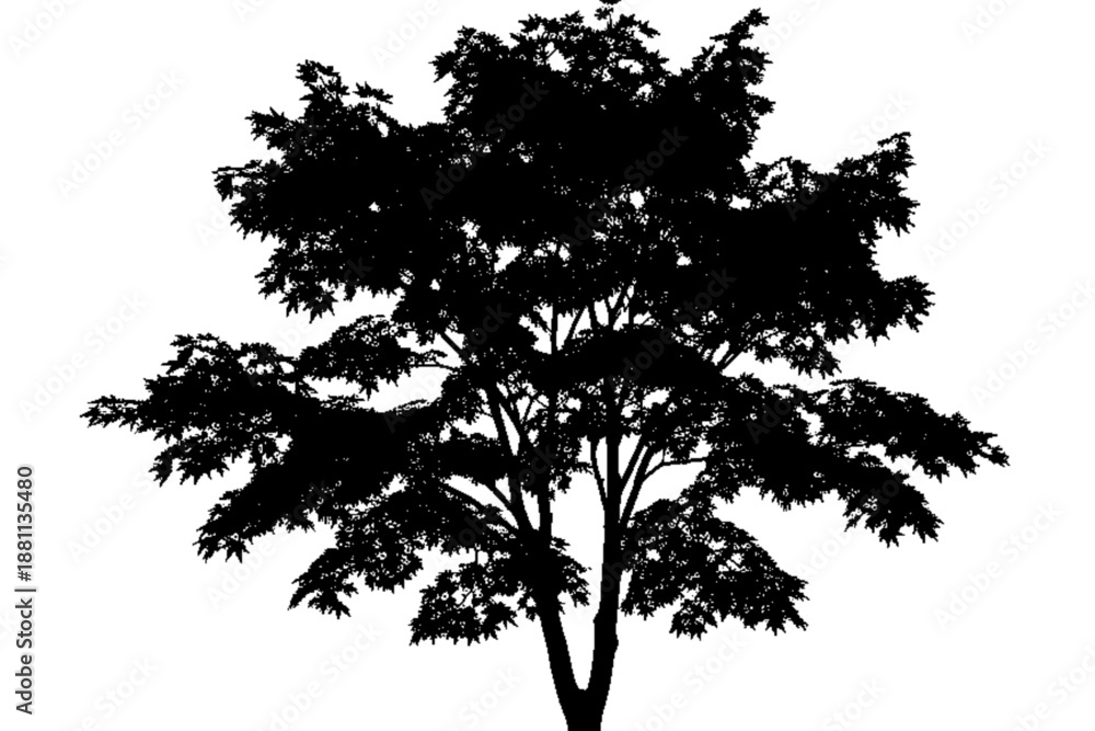 Fototapeta premium Silhouette of Nature: A silhouette of a meticulously formed tree stands out with all the branches and leaves, against the background.