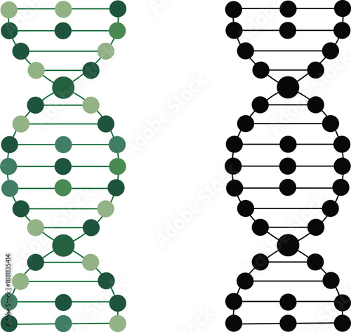 DNA Helix Structure Vector Illustration Molecular Biology Silhouette and Outline