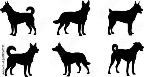 Animal silhouette of dog breed in different poses

