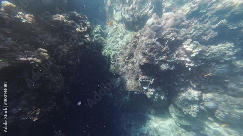 Wallpaper Mural Fish swim among corals underwater in tropical sea, 4k Torontodigital.ca