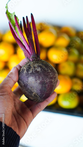 A person is holding a purple vegetable in their hand