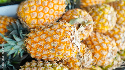 A pile of ripe pineapples with a few still green