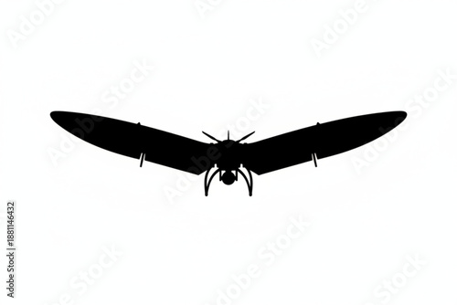 Elegant Wing Silhouette: A graceful silhouette of a vintage plane, with its wings spread wide, ready for flight. A tribute to engineering excellence and the spirit of aviation