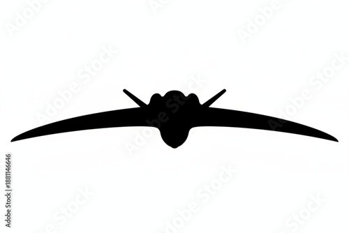 Futuristic Aircraft Silhouette: A sleek, modern aircraft design is presented in a striking silhouette, showcasing its aerodynamic form and cutting-edge technology.