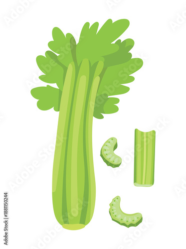 Celery. Flat vector clipart, illustration with isolated background.
