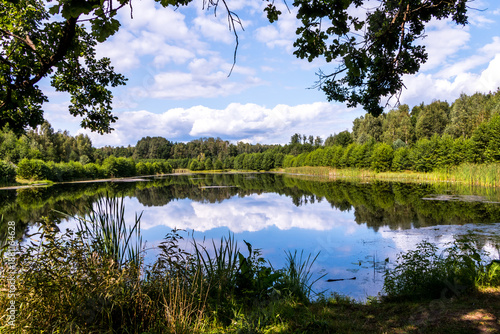 Lake in the national reserve Belovezhskaya Pushcha, Belarus. Belovezhskaya Pushcha is one of the last and largest remaining parts of the immense primeval forest