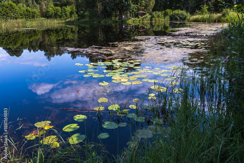 Lake in the national reserve Belovezhskaya Pushcha, Belarus. Belovezhskaya Pushcha is one of the last and largest remaining parts of the immense primeval forest