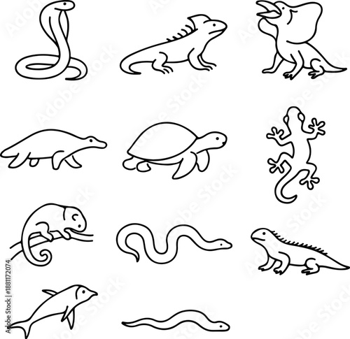 Hand drawn reptile and amphibian icon set line art