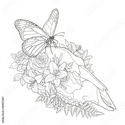 Butterfly on floral skull illustration
