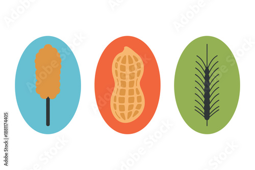 Colorful illustrations of corn dog, peanut, and plant in oval shapes on white background