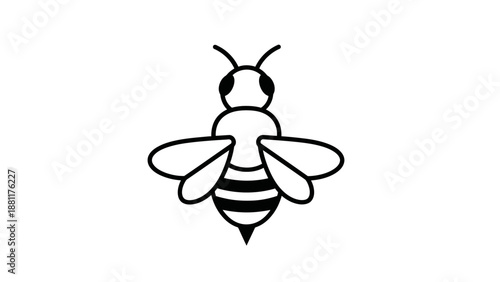 vector illustration of a bee