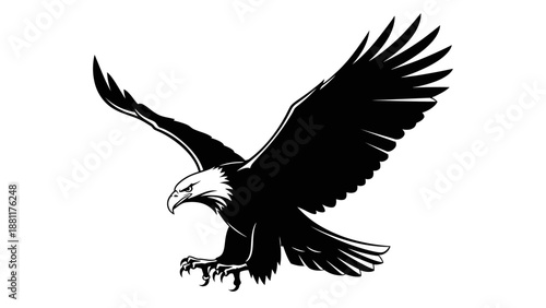eagle on white background