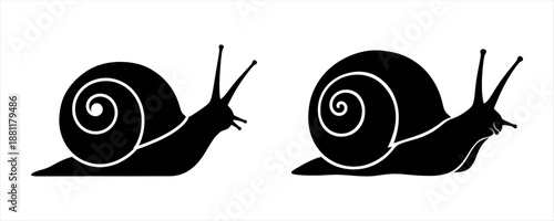 Elegant Black Snail Silhouettes Representing Slow Movement and Persistent Garden Life