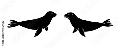 Two sleek black seal silhouettes playfully interacting on a clean white background