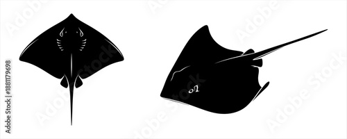 Black Silhouette of a Stingray from Top and Side Views