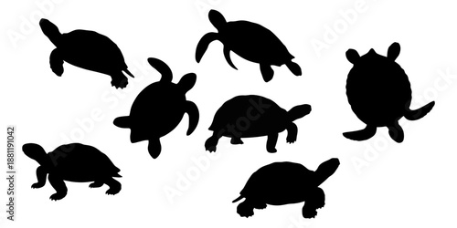 silhouette of a turtle on a white background
