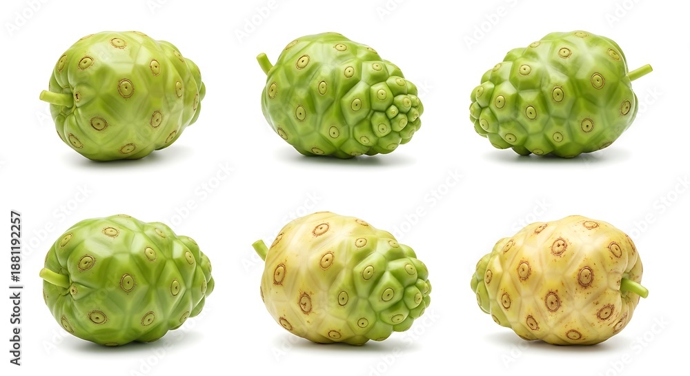 Fototapeta premium Noni Fruits - A Collection of Morinda Citrifolia on White.