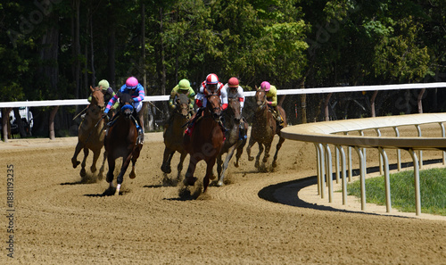 Φωτογραφία Horse Racing at Saratoga